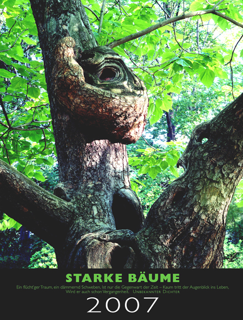 Starke_Baeume_2007