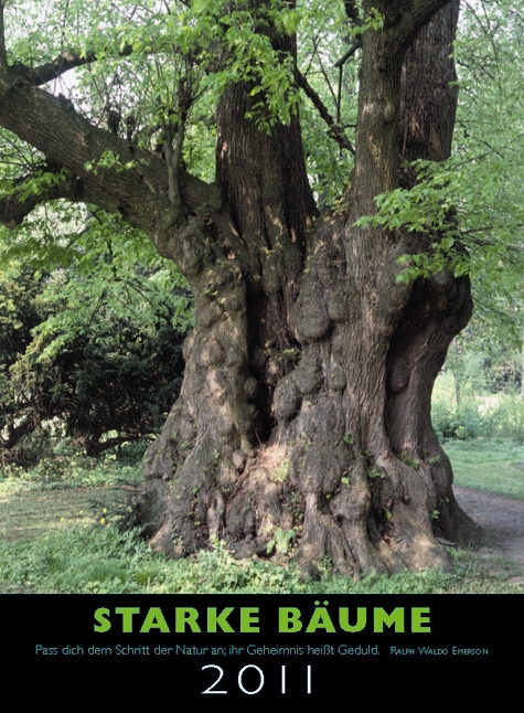 Starke_Baeume_2011